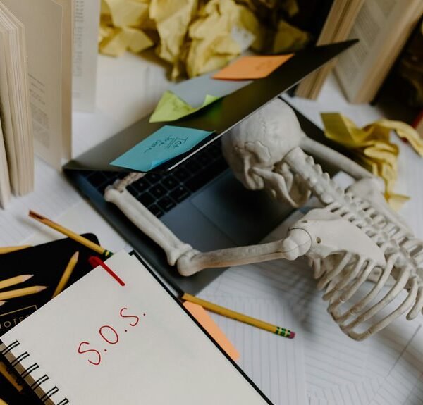 organizational insights for codes