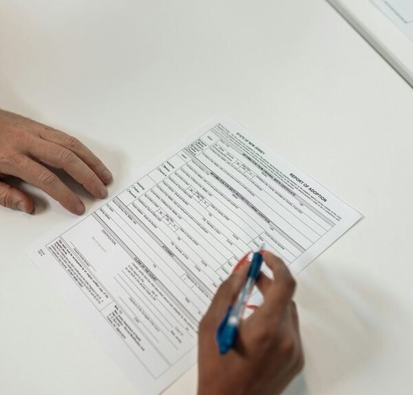 organizational systems review document