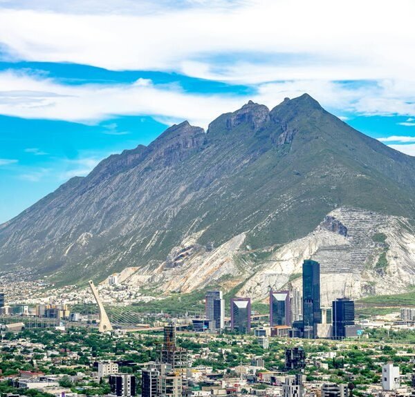 business growth projections ahead