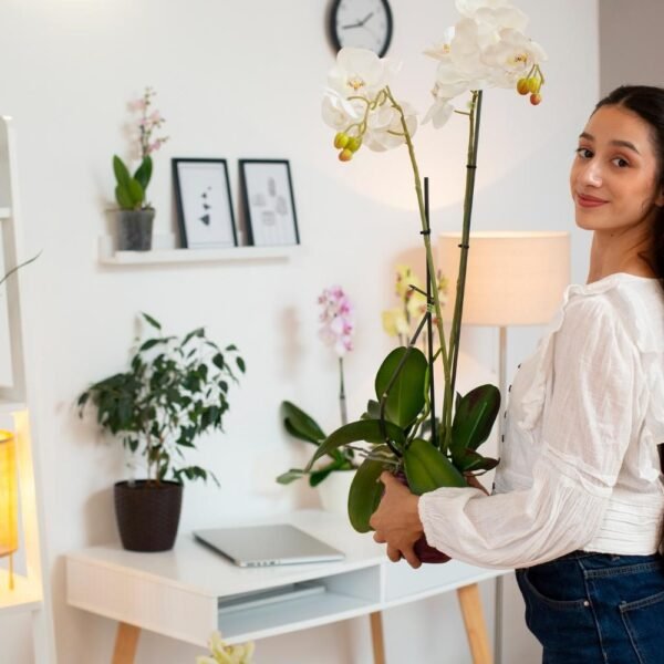 Office Flower Arrangements That Elevate Your Corporate Interior Design