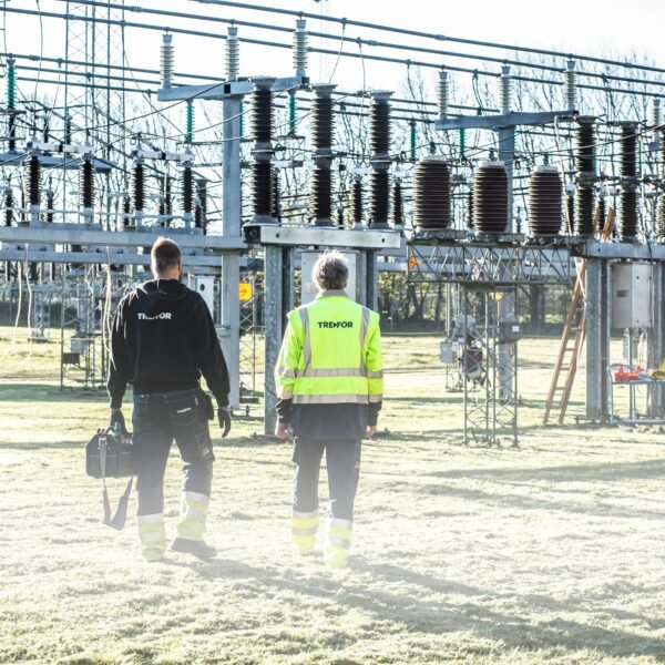 Understanding 3 Phase Distribution Transformers: Design, Benefits & Maintenance